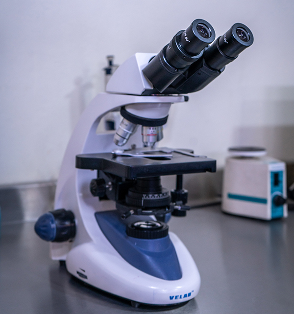 Laboratorio